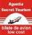  Logo Agentia Secret Tourism