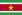 Steag Surinam
