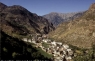 Pirinei