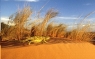 Deserturile rosii din Kalahara