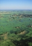 Mlastina Lush Okavango