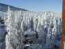 Borovets