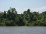 Fluviul Orinoco