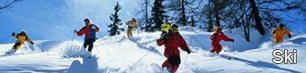 Vacante, sejururi la ski