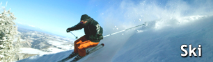 Vacante, sejururi la ski