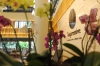 Hotel Impressive Resort & Spa Punta Cana