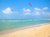 sejur steigenberger al dau beach resort 5*