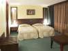 Hotel Lion