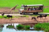 Hotel Safari Lodges Im Serengeti Park Resort