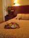 Hotel Odeon