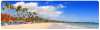 sejur bavaro princess all suites resort spa & casino 5*