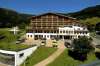Hotel Alpine Resort Zell Am See