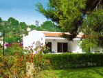 Apartamente Ptr 4-6 Pers(vis302)