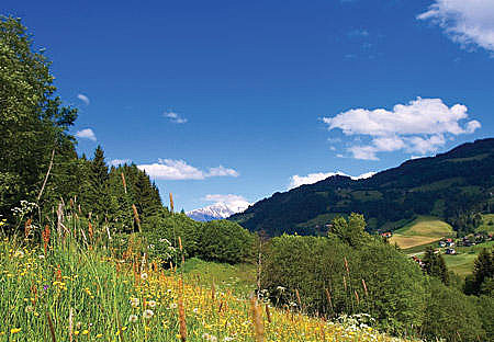  Ferienhaus Alpenblic