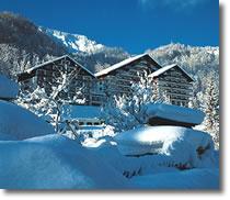  Alpenhotel Dachstein