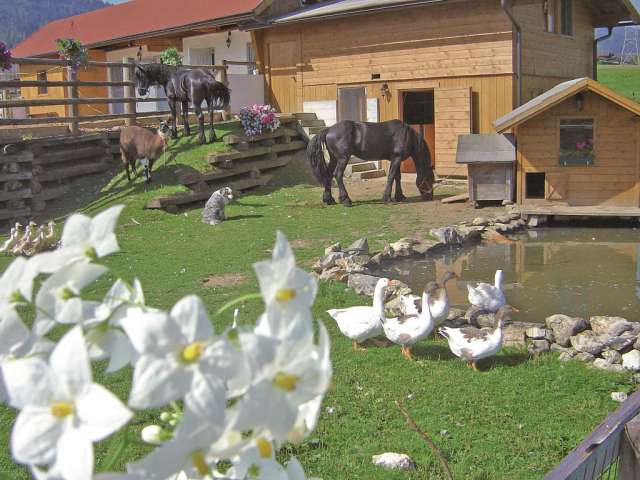 Pension Salater Hof