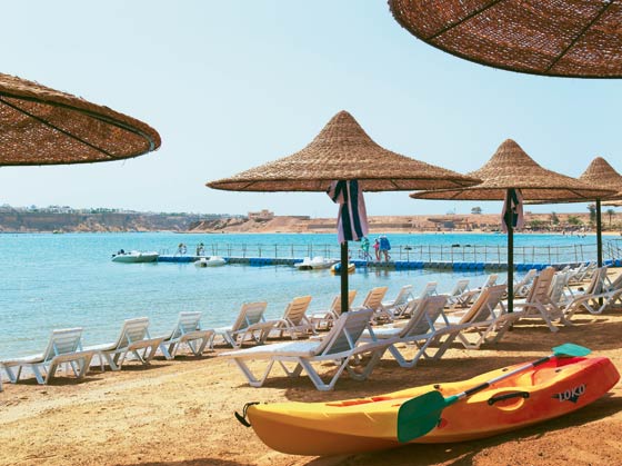 LAST MINUTE SHARM EL SHEIKH HOTEL Verginia Sharm Resort &amp; Aqua Park 4* AI AVION SI TAXE INCLUSE TARIF 367 EURO