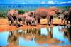 Revelion 2018 - Africa de Sud