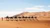 Super oferta - Circuit Maroc!