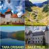 TARA CRISANEI – BAILE FELIX