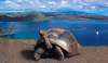 Ecuador si Galapagos - Experienta in Jungla...