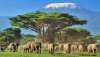 Safari 2019 in Kenya