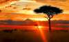 REVELION AFRICA DE SUD & SEJUR EXOTIC...