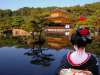 JAPONIA MARELE TUR