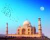 PASTE in INDIA - Circuit si sejur Triunghiul...