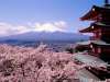 JAPONIA - Marele Tur