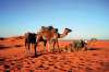 Circuit cu avion 2019 MAROC MARELE TUR –...