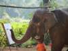 NOU! INDIA DE SUD: EXPERIENTA TAMIL NADU...