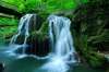 Excursie 5 zile Hunedoara si comorile Banatului...