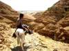 CIRCUIT ISRAEL-Samaria-Sebastia 24 OCT