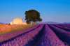 Provence – Ţinutul Lavandei
