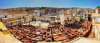 REVELION MAROC