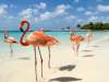 REVELION 2020 - CROAZIERA IN CARAIBE