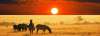 Circuit Africa de Sud & Zambia-Zimbabwe...