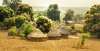 REVELION 2020 - SENEGAL - AVENTURA AFRICANA...