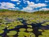 Dobrogea si Delta Dunarii