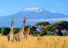 CIRCUIT 2020 - KENYA Big Five safari si plaja...