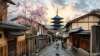 - 2020 JAPONIA FLORILOR DE MAI -