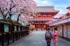 Japonia Florilor de Mai 2020, -4