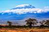 EXPEDITIE KILIMANJARO - RUTA MARANGU, -1...