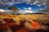 NAMIBIA - ODISEEA AFRICANA, -100