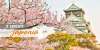 JAPONIA 2020 – SPECTACOLUL FLORII DE C...