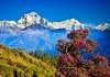 INDIA CLASICA si NEPAL! Intre Himalaya si...
