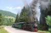 BUCOVINA - SALINA CACICA - MOCANITA HUTULCA:...