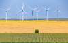 Dobrogea - intre Dunare si Marea Neagra