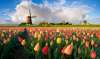 Amsterdam 2021 - Parada Florilor. Zbor din...